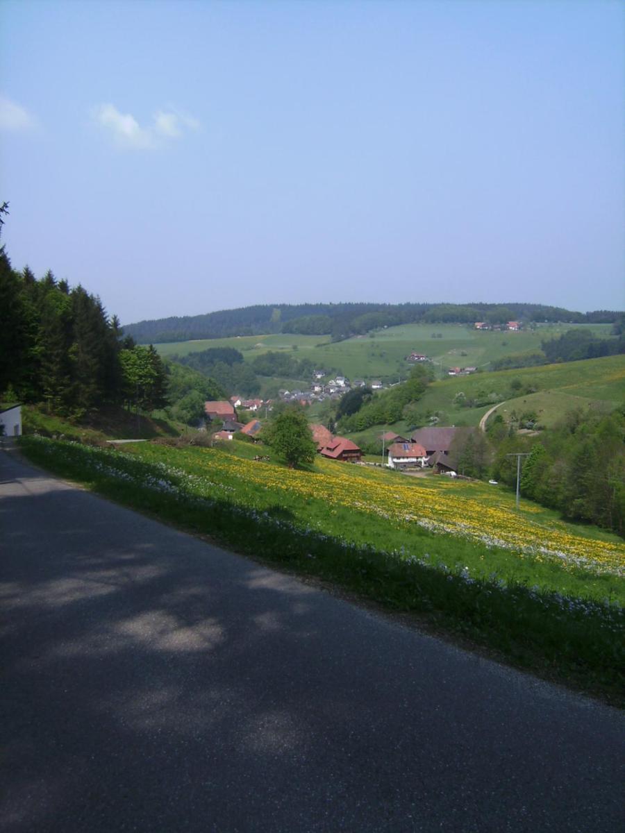 Gasthof Krone Schuttertal エクステリア 写真